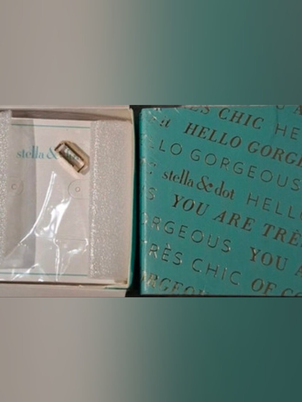 Stella & Dot Charm